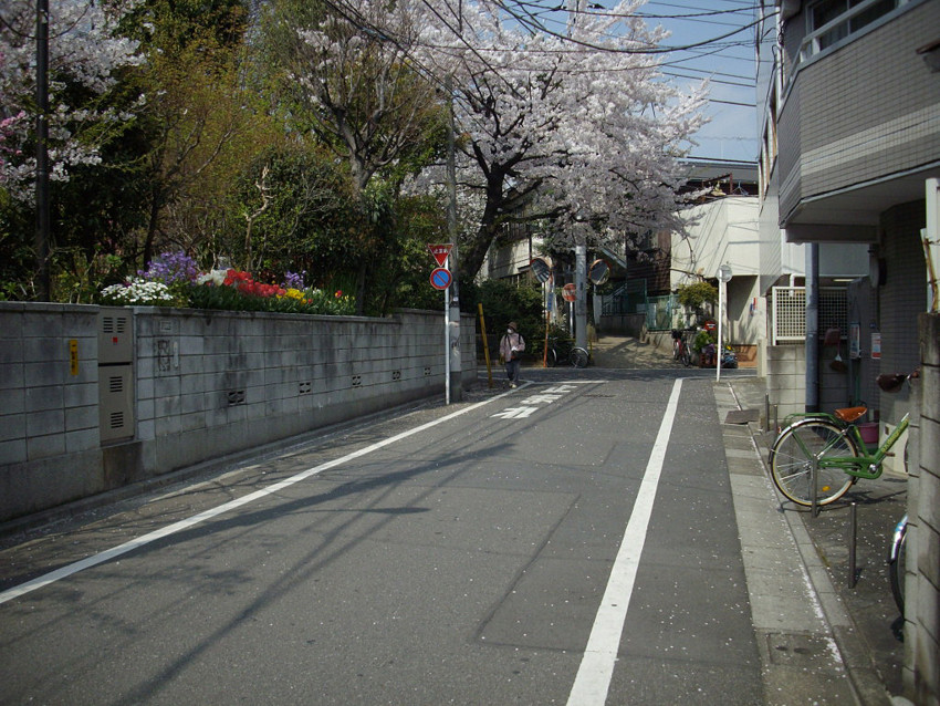 f:id:blepharisma:20100407001041j:image