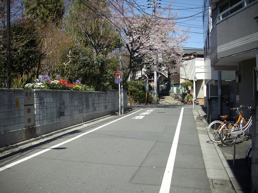f:id:blepharisma:20100407001045j:image