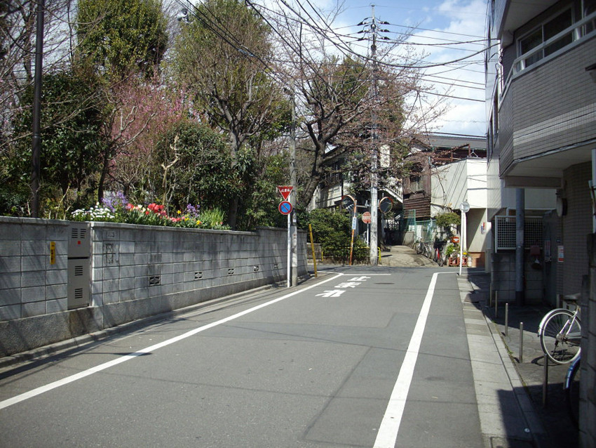 f:id:blepharisma:20100407001048j:image