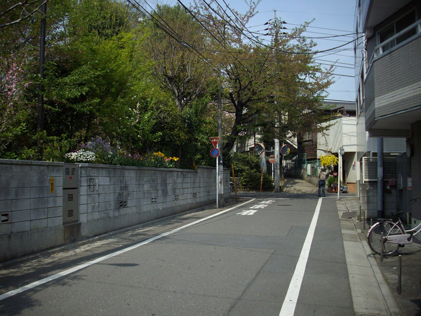 f:id:blepharisma:20100407001210j:image