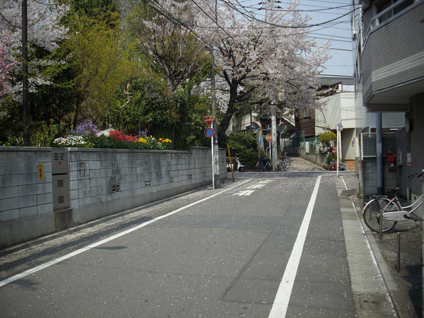 f:id:blepharisma:20100407001215j:image