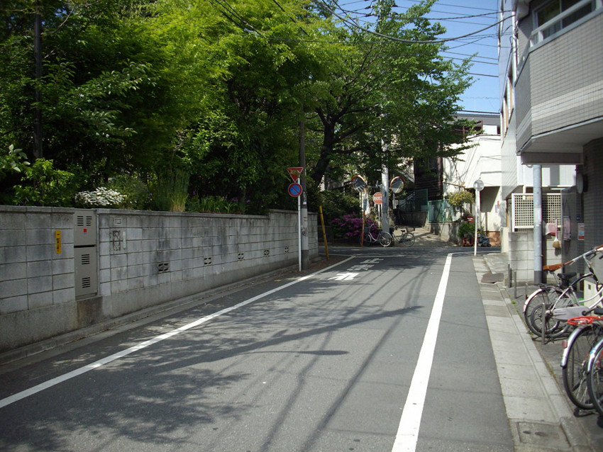 f:id:blepharisma:20100407001326j:image