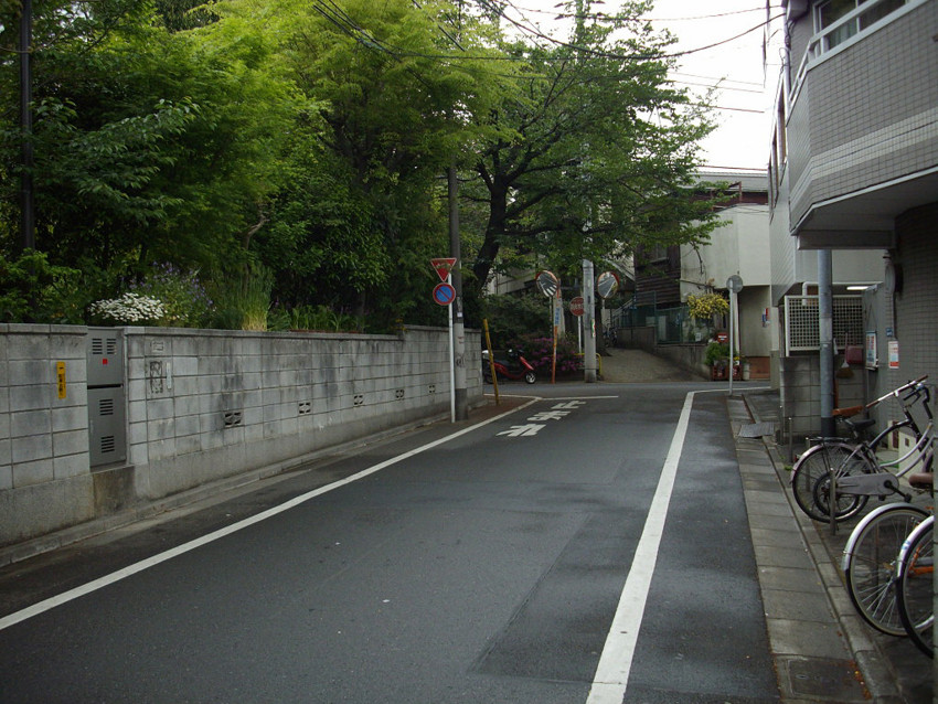 f:id:blepharisma:20100407001332j:image