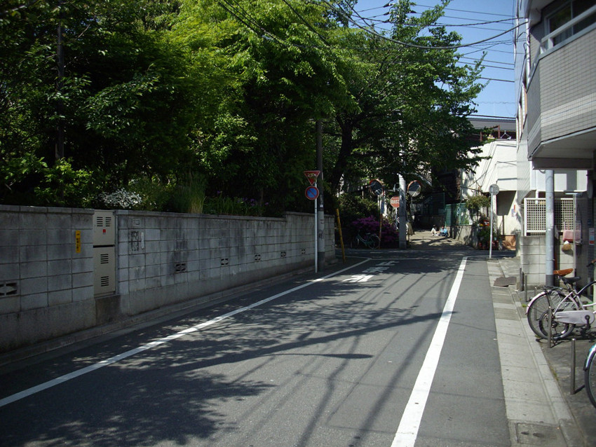 f:id:blepharisma:20100407001507j:image