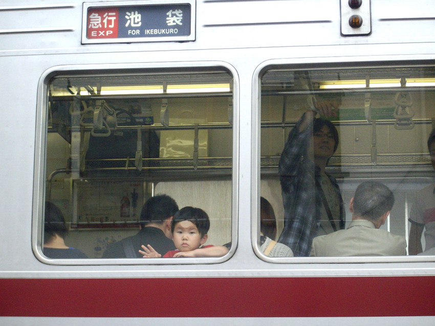 f:id:blepharisma:20100503001840j:image