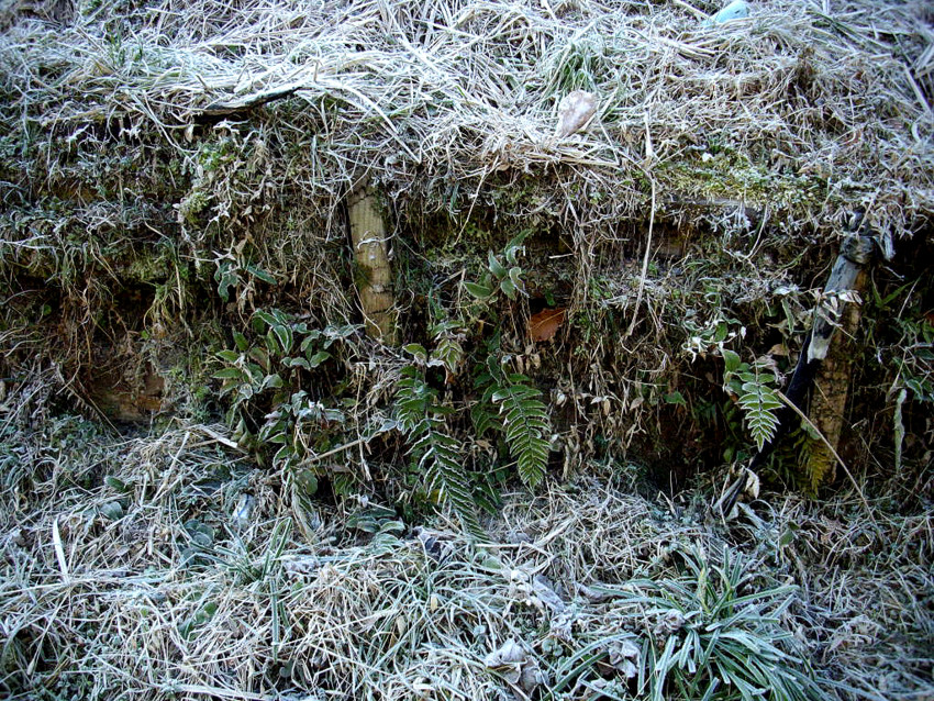 f:id:blepharisma:20100506125650j:image f:id:blepharisma:20100506125650j:image