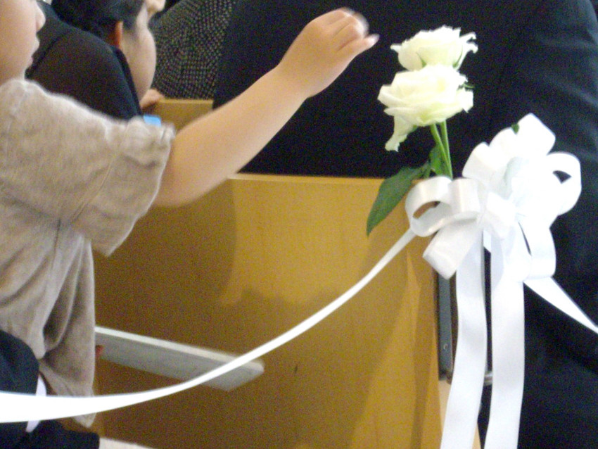 f:id:blepharisma:20100510050011j:image