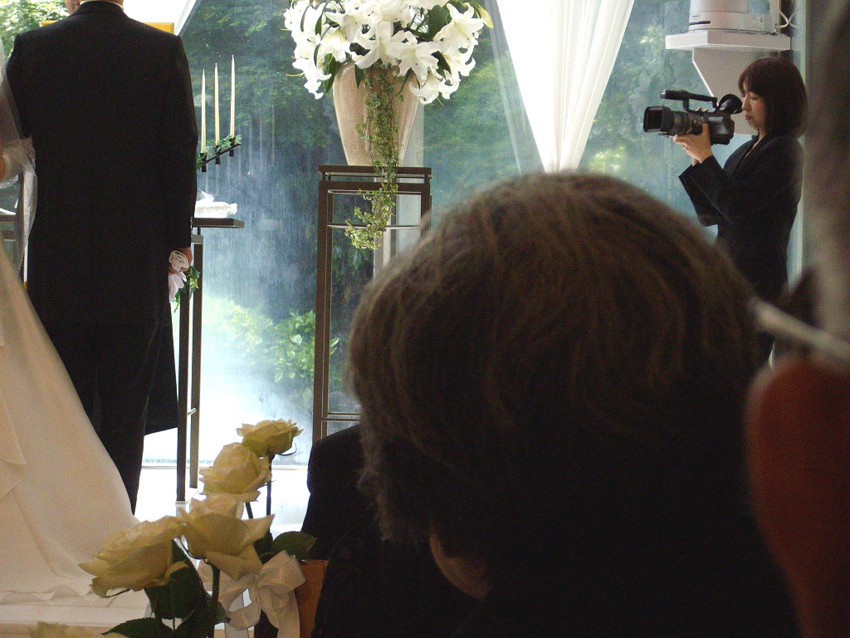 f:id:blepharisma:20100510050133j:image