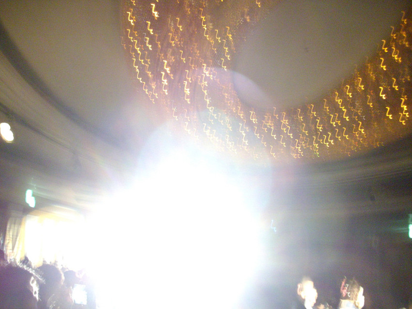 f:id:blepharisma:20100510050230j:image