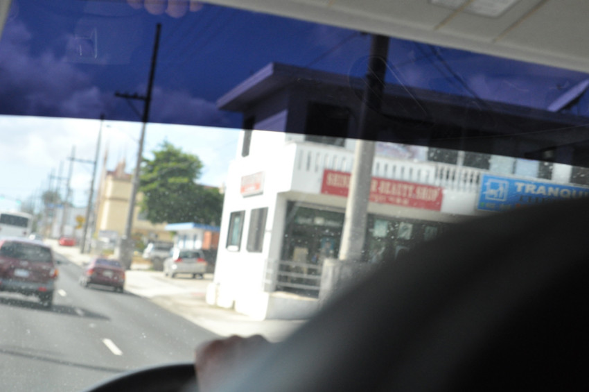 f:id:blepharisma:20100520100630j:image