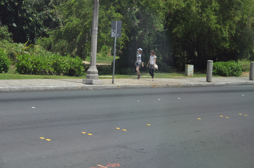 f:id:blepharisma:20100520100711j:image