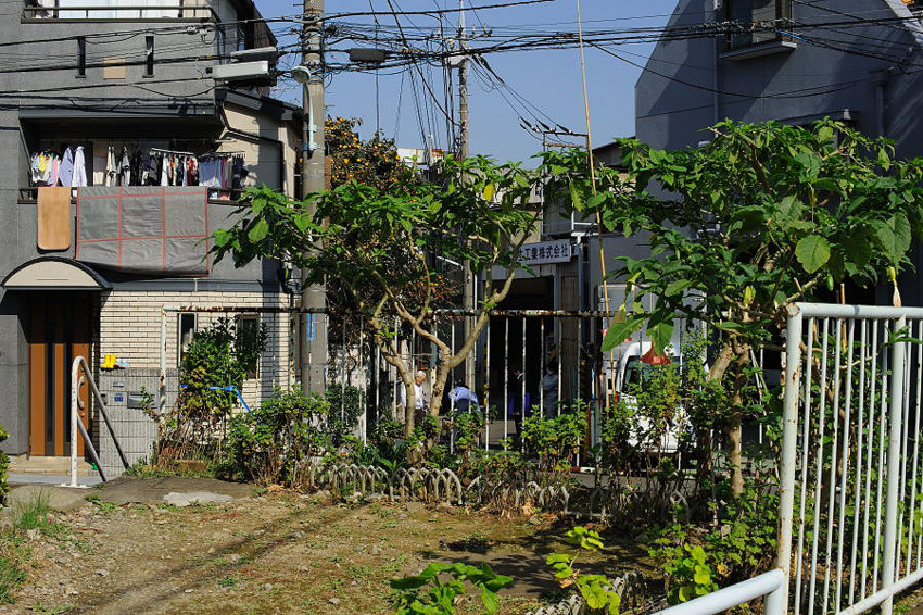 f:id:blepharisma:20100527001138j:image