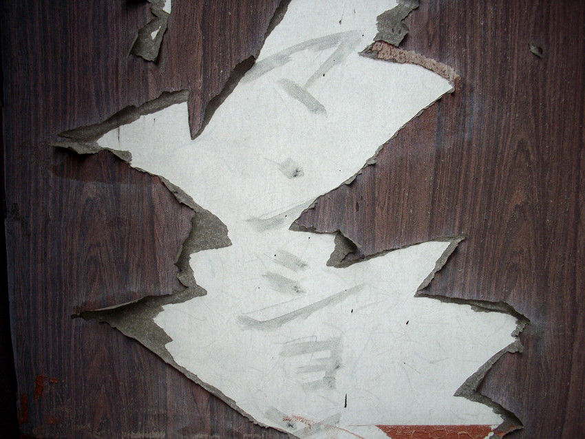 f:id:blepharisma:20100531004729j:image