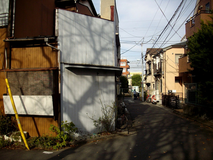 f:id:blepharisma:20100709092535j:image