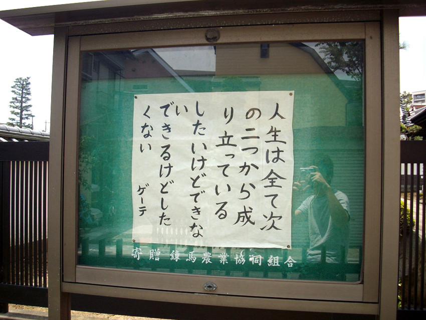 f:id:blepharisma:20100726233614j:image