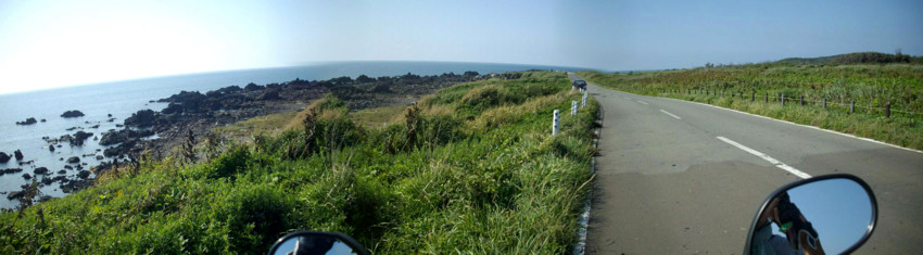 f:id:blepharisma:20100831105544j:image