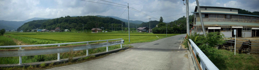 f:id:blepharisma:20100904053025j:image