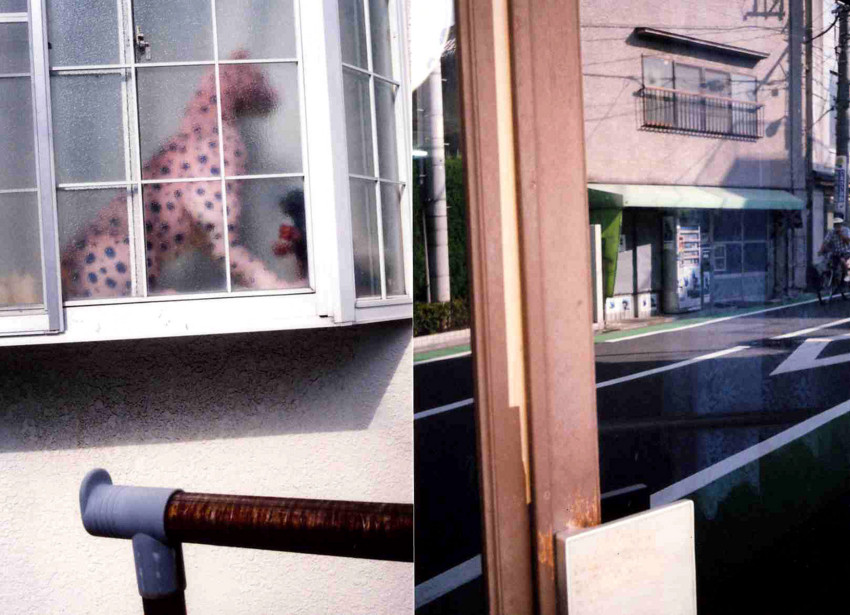 f:id:blepharisma:20101104111457j:image