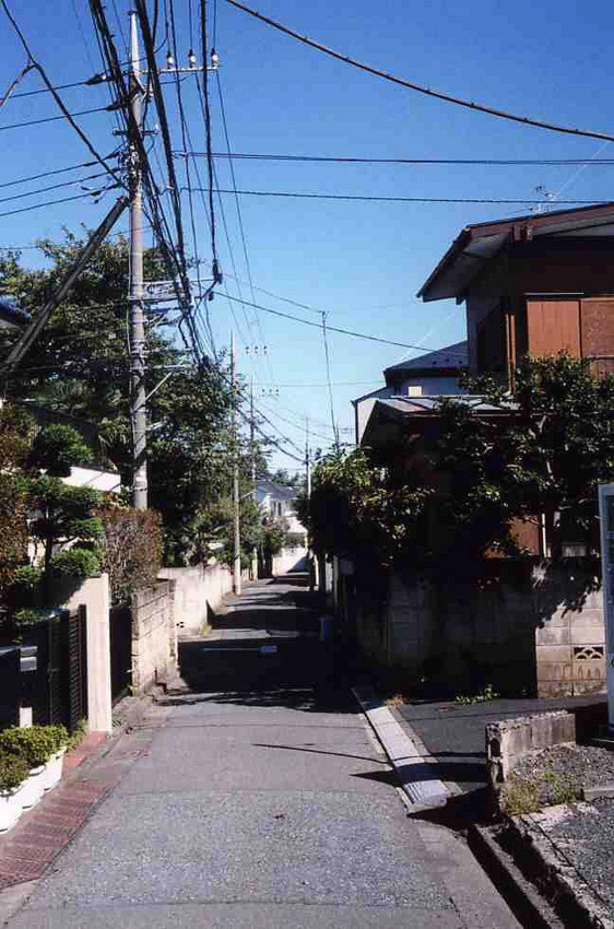 f:id:blepharisma:20101113004600j:image
