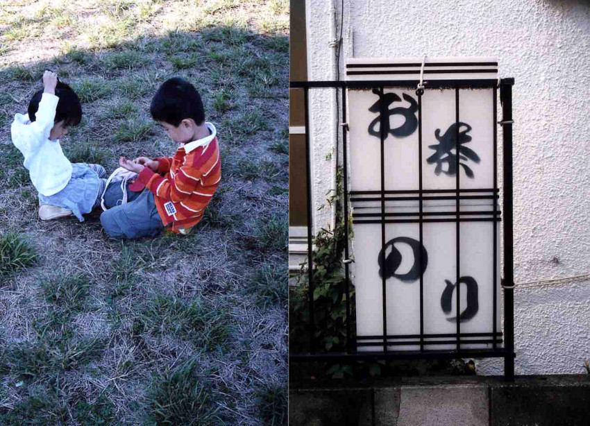 f:id:blepharisma:20101118113058j:image