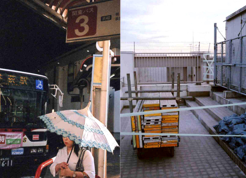 f:id:blepharisma:20101125081837j:image f:id:blepharisma:20101125081837j:image