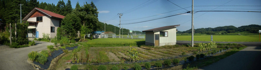 f:id:blepharisma:20110123061301j:image