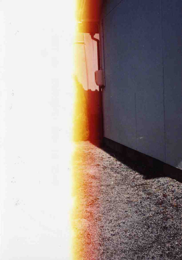 f:id:blepharisma:20110125005650j:image f:id:blepharisma:20110125005650j:image