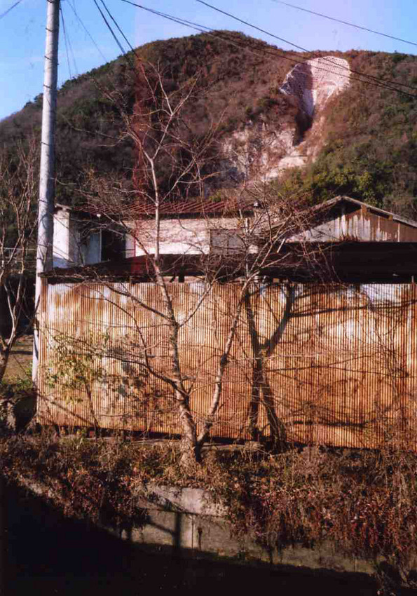 f:id:blepharisma:20110129091443j:image