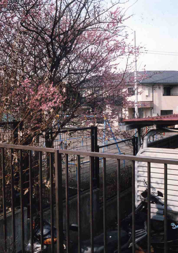 f:id:blepharisma:20110312214450j:image