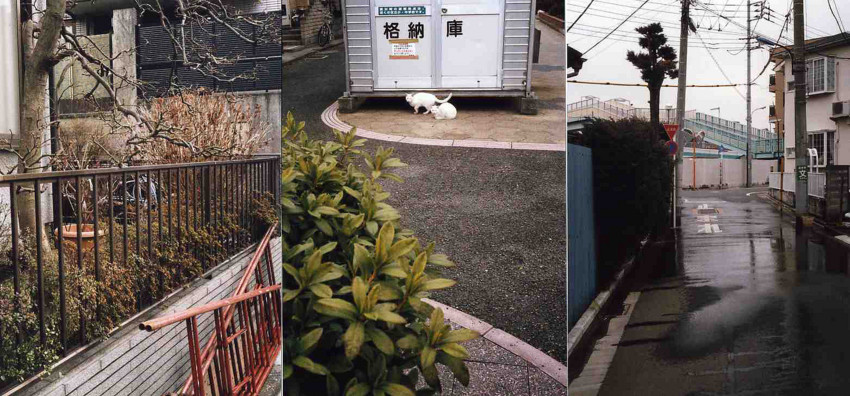 f:id:blepharisma:20110319233110j:image