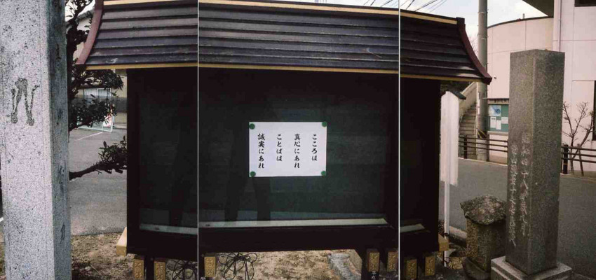 f:id:blepharisma:20110401000323j:image