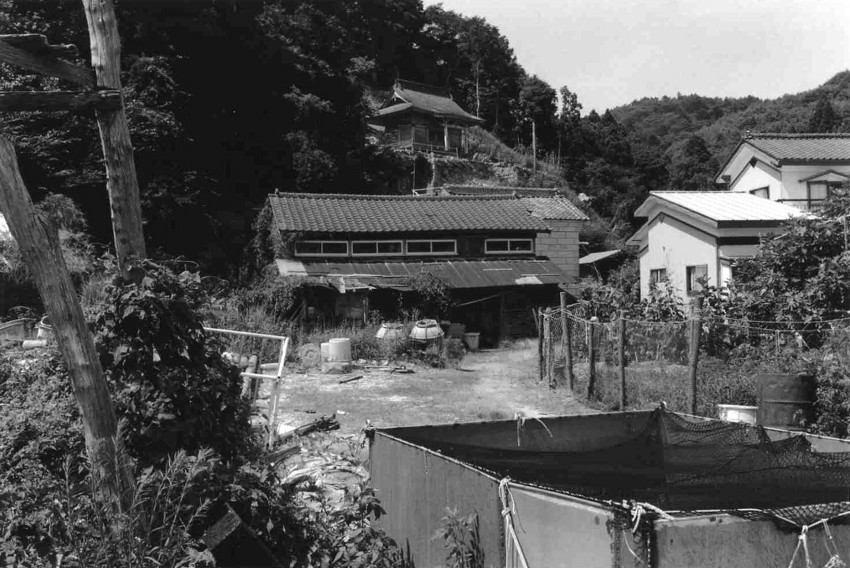f:id:blepharisma:20110430072204j:image