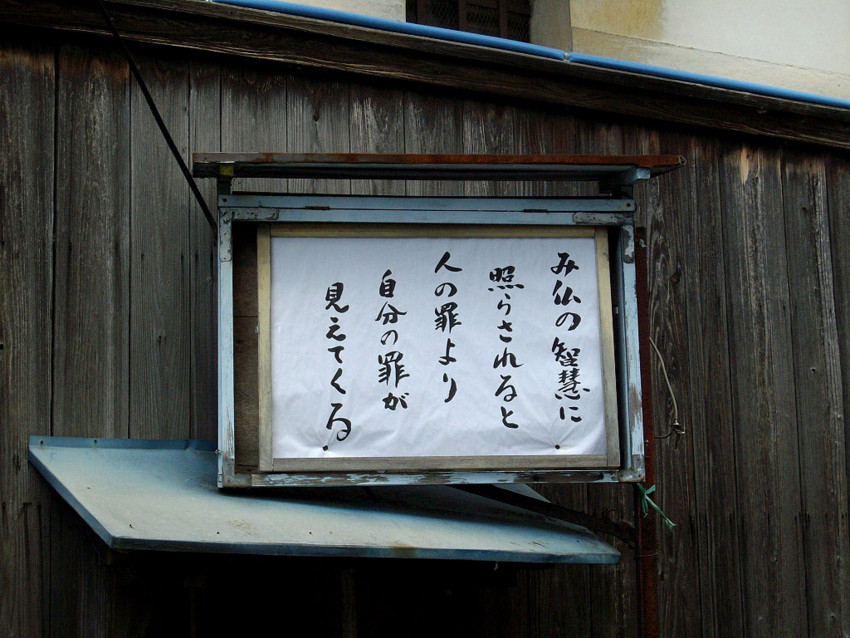 f:id:blepharisma:20110501112307j:image