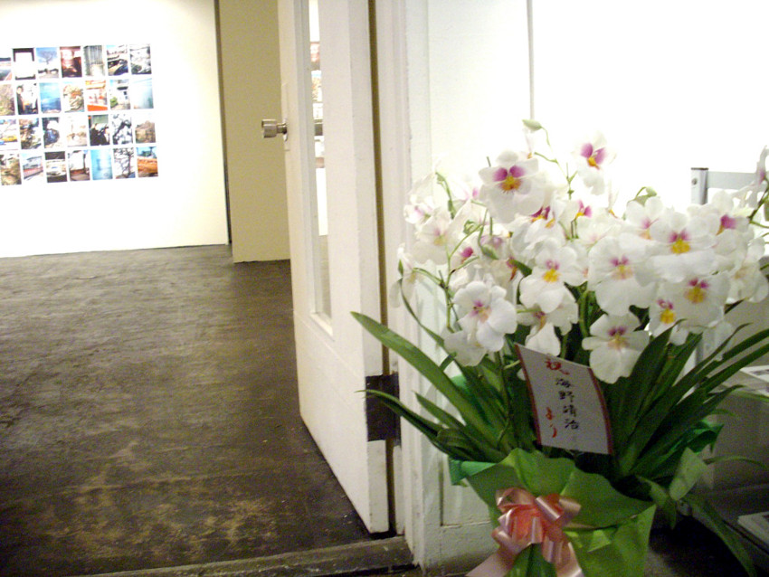 f:id:blepharisma:20110515195429j:image