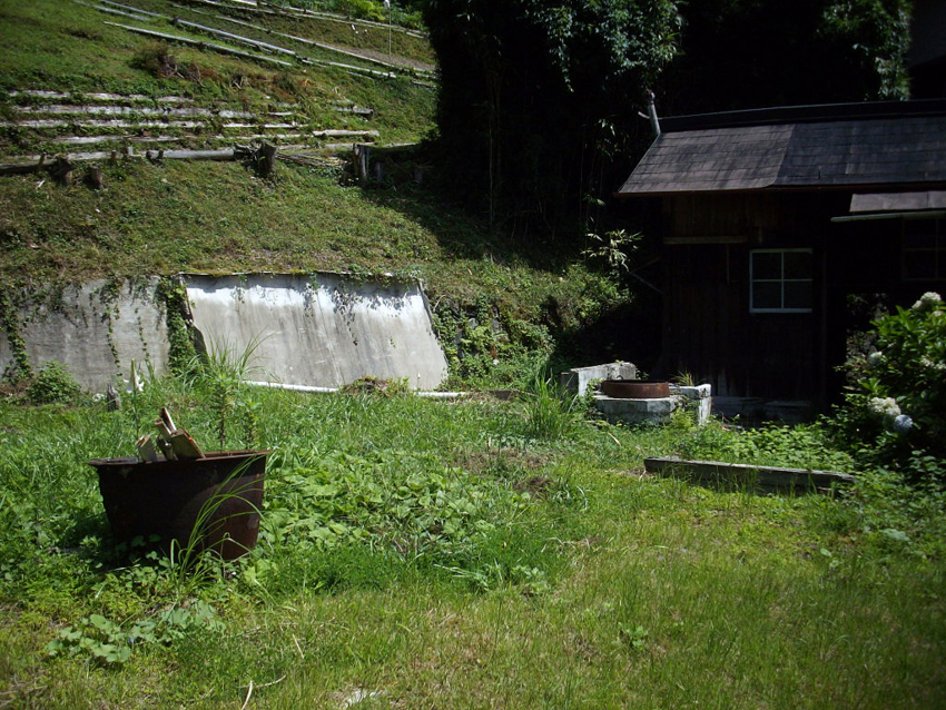f:id:blepharisma:20110530004747j:image