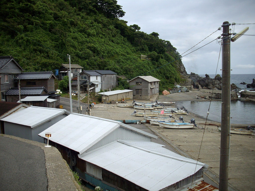 f:id:blepharisma:20110703233112j:image