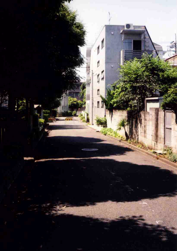 f:id:blepharisma:20110709000746j:image