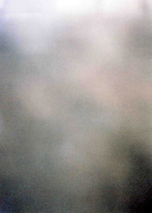 f:id:blepharisma:20110713125556j:image f:id:blepharisma:20110713125556j:image