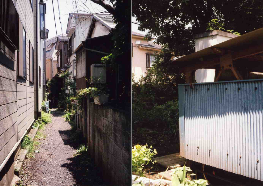 f:id:blepharisma:20110715103227j:image