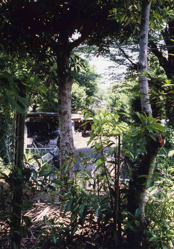 f:id:blepharisma:20110717104959j:image