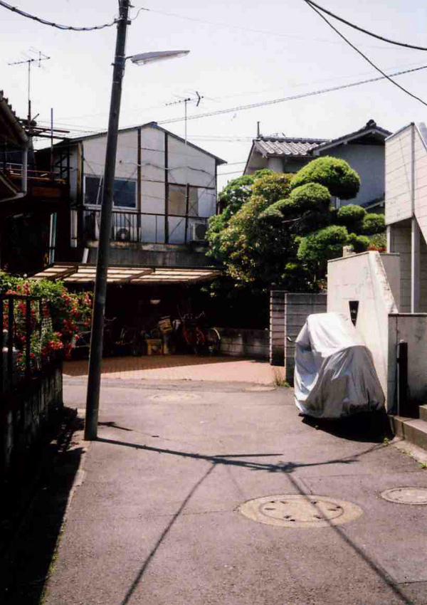 f:id:blepharisma:20110721103234j:image