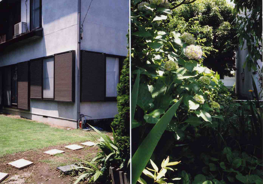 f:id:blepharisma:20110723161620j:image