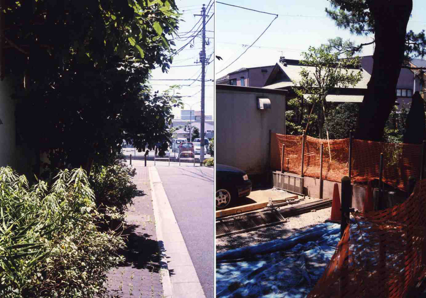 f:id:blepharisma:20110723161706j:image