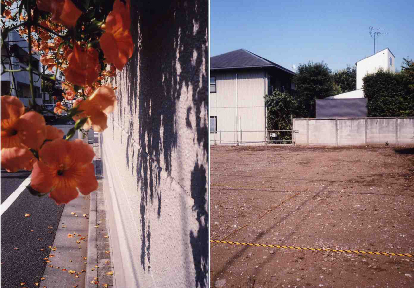 f:id:blepharisma:20110723161709j:image