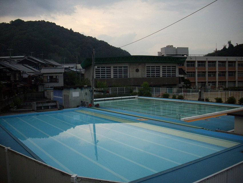 f:id:blepharisma:20111024110241j:image