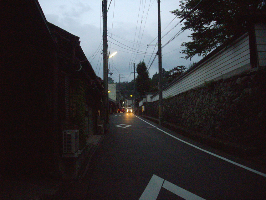 f:id:blepharisma:20111208211353j:image