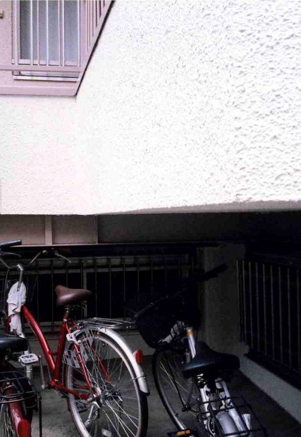 f:id:blepharisma:20111231124905j:image