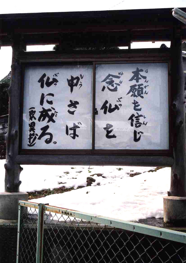 f:id:blepharisma:20120201131617j:image