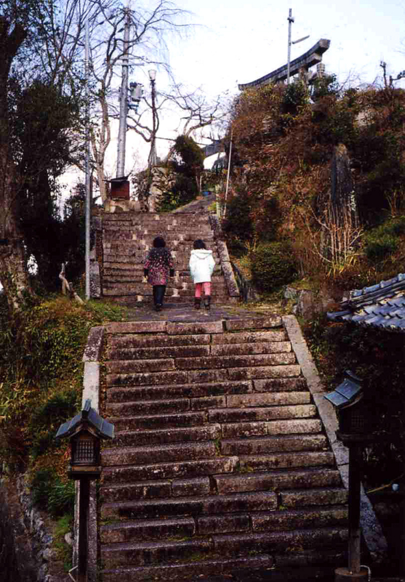 f:id:blepharisma:20120202102646j:image