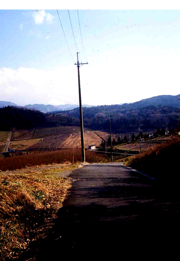 f:id:blepharisma:20120221093005j:image